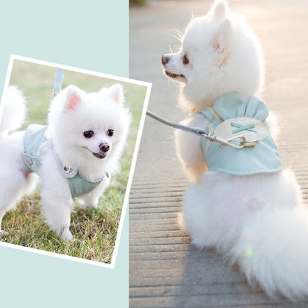 PawsCute