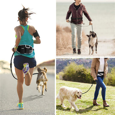 PawsStride
