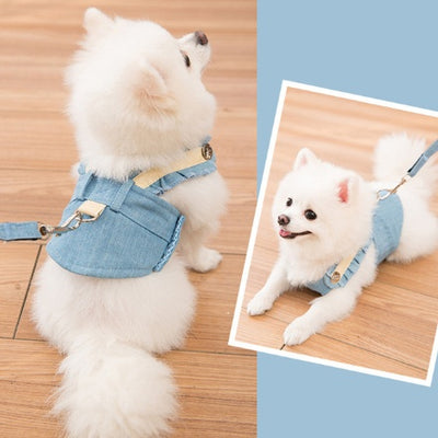 PawsCute