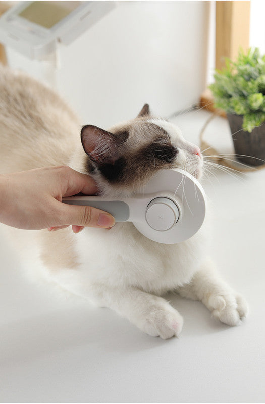 SilkTouch Self-Cleaning Brush