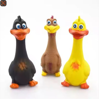 QuackBuddy Squeaky Latex Toy