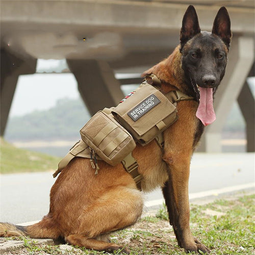 IronVest