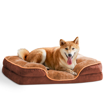 CloudNine Orthopedic Comfort Lounge