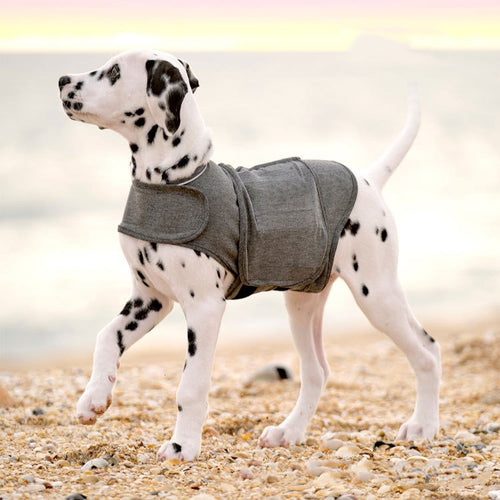 CalmWrap Orthopedic Anxiety Vest