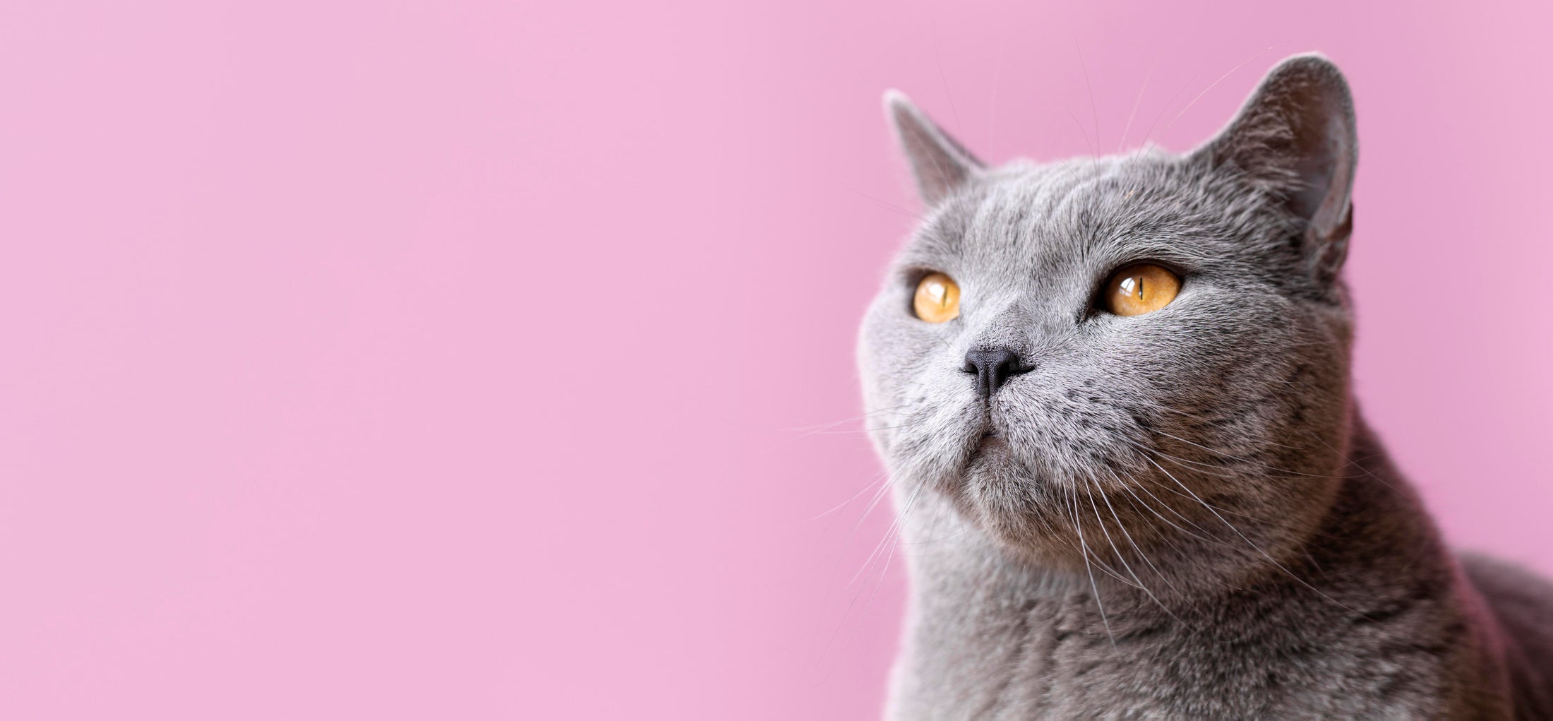 Stories, Tips & Insights